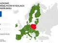 Czipowanie psa: Po co, jak działa i co z nowym prawem od 2026?