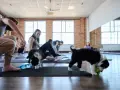 Gdzie na Puppy Yogę w Polsce? Pełny przewodnik!