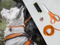 Obroża dla psa DIY: Stwórz idealną, bezpieczną i unikalną!