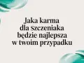 Karma dla szczeniaka: wybierz mądrze! Zdrowy start na całe życie