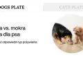 Karma dla psa: sucha czy mokra? Poznaj fakty i wybierz mądrze.