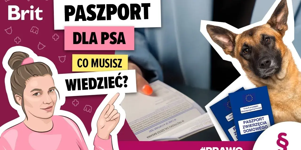 Paszport dla psa: od ręki, ale na podróż czekasz 21 dni!