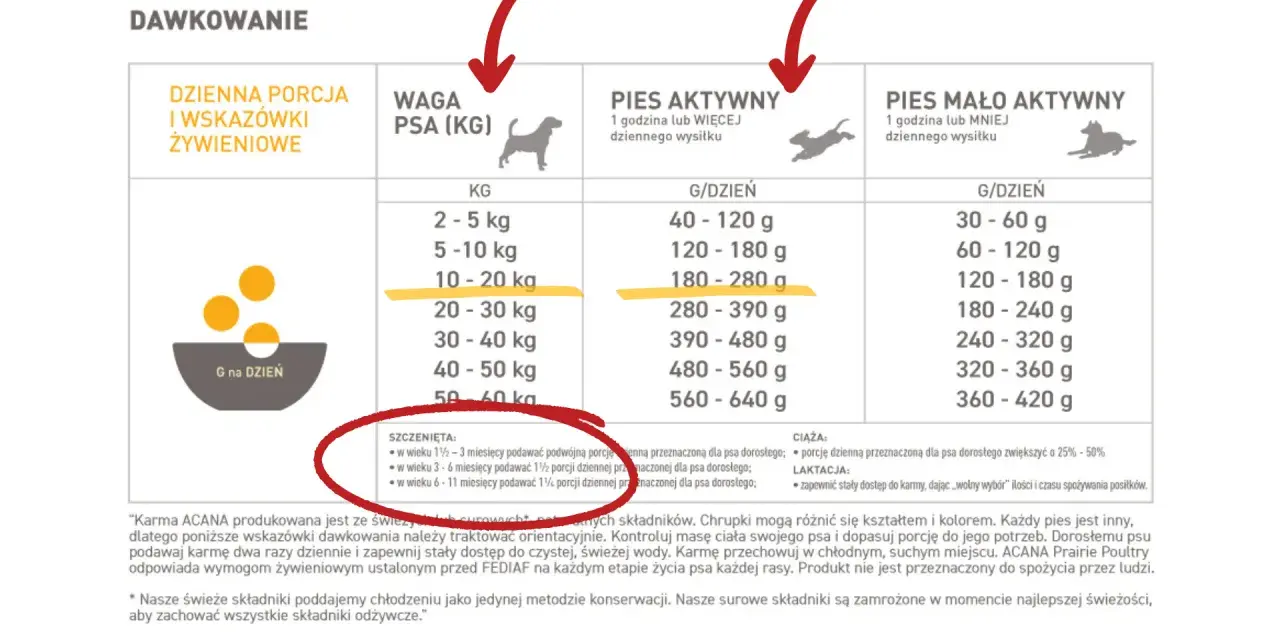 Ile karmy dla szczeniaka? Tabele i porady eksperta!
