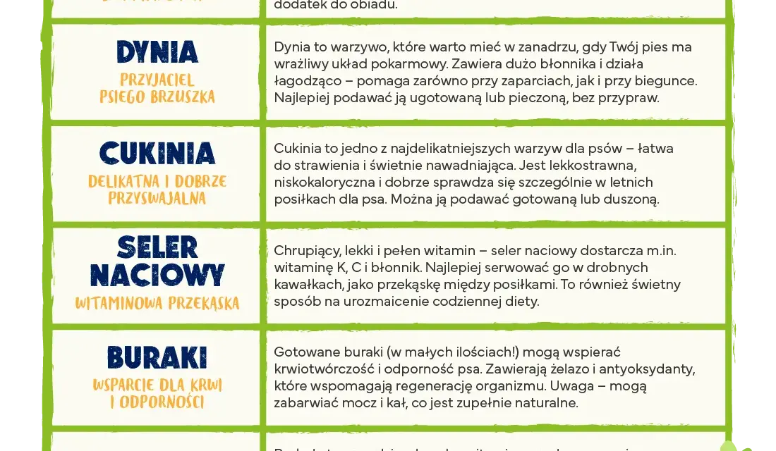 Jakie warzywa dla psa? Bezpieczne i zakazane poradnik eksperta