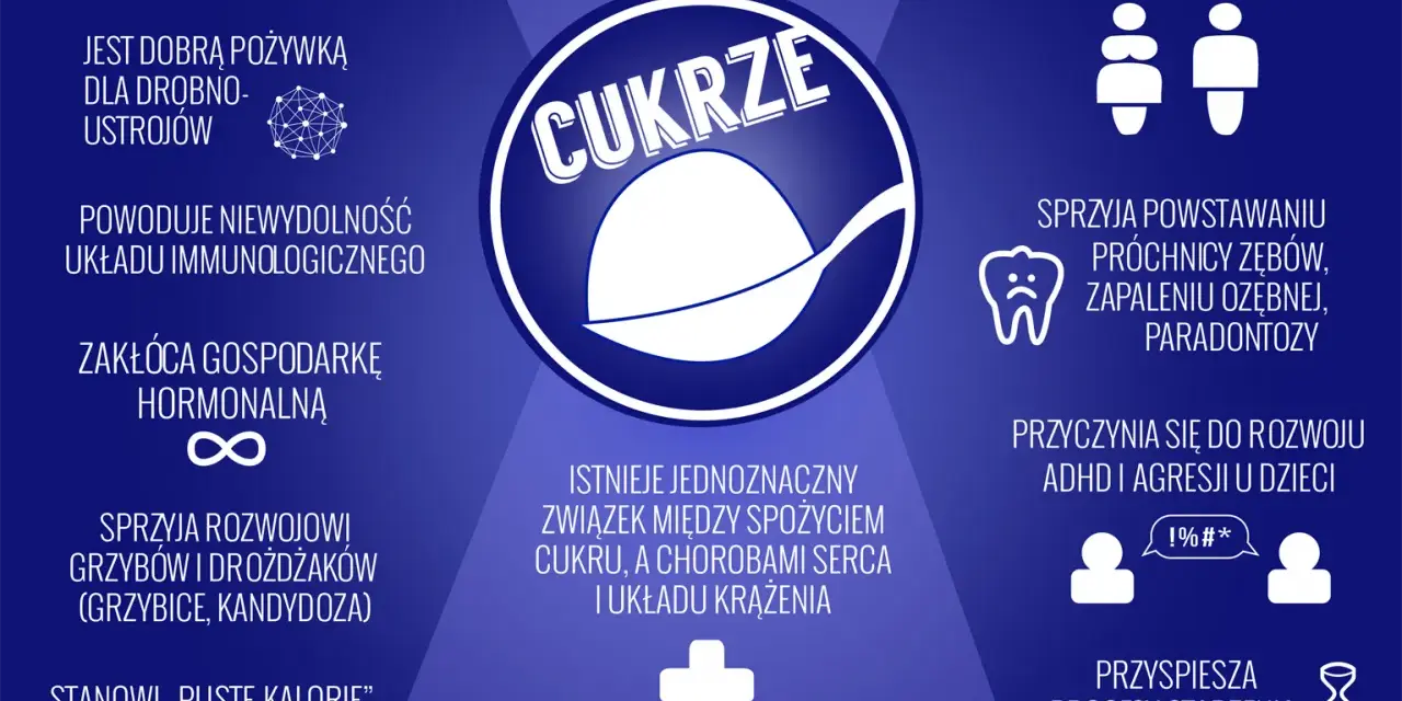 Cukier w diecie psa: dlaczego szkodzi i jak go unikać?