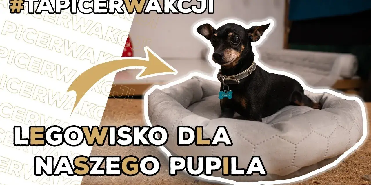 Poidło dla psa DIY: Zrób to sam! Proste instrukcje i porady eksperta