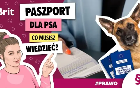 Paszport dla psa: od ręki, ale na podróż czekasz 21 dni!