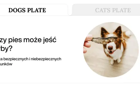 Pies patrzy na rękę trzymającą suszoną rybkę.