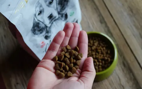 Dłoń trzymająca karmę dla szczeniąt, obok miska i opakowanie z psem.