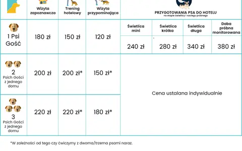 Ceny hoteli dla psów: Od 60 do 200 zł! Jak nie przepłacić?