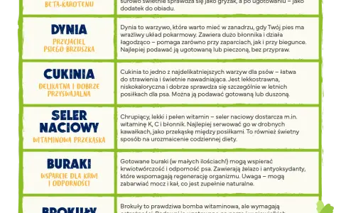 Jakie warzywa dla psa? Bezpieczne i zakazane poradnik eksperta