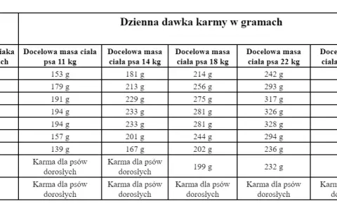 Ile gram karmy dla szczeniaka? Precyzyjny poradnik żywienia!