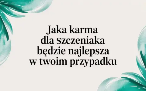 Karma dla szczeniaka: wybierz mądrze! Zdrowy start na całe życie