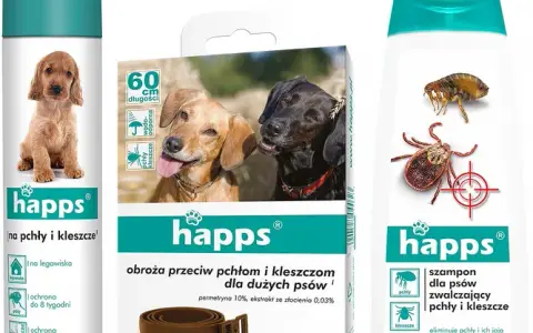 Co na kleszcze dla psa? Wybierz najlepszą ochronę i zyskaj spokój.