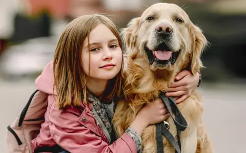 Dziewczynka w różowej kurtce przytula uśmiechniętego golden retrievera.