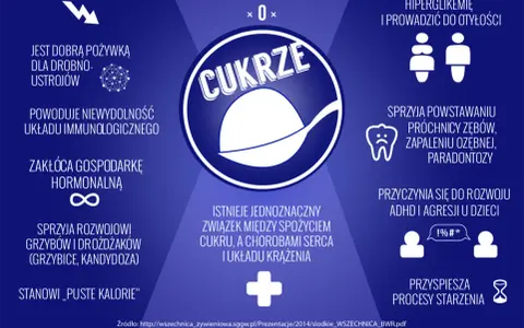 Cukier w diecie psa: dlaczego szkodzi i jak go unikać?