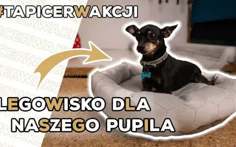 Poidło dla psa DIY: Zrób to sam! Proste instrukcje i porady eksperta