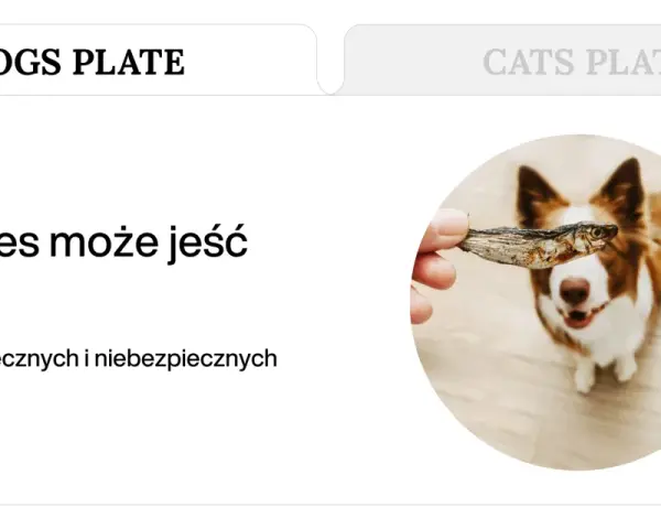 Pies patrzy na rękę trzymającą suszoną rybkę.