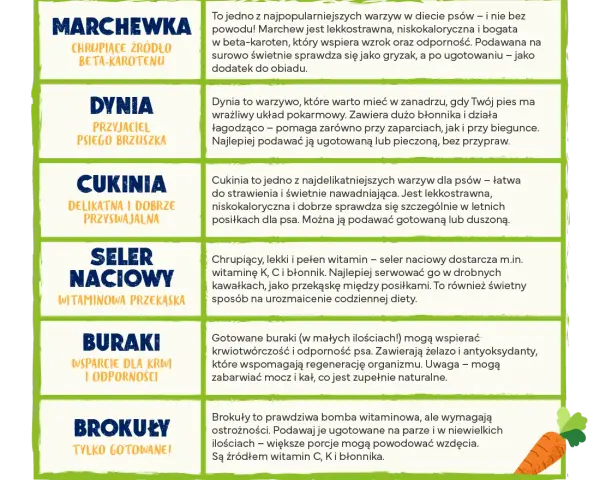 Jakie warzywa dla psa? Bezpieczne i zakazane poradnik eksperta