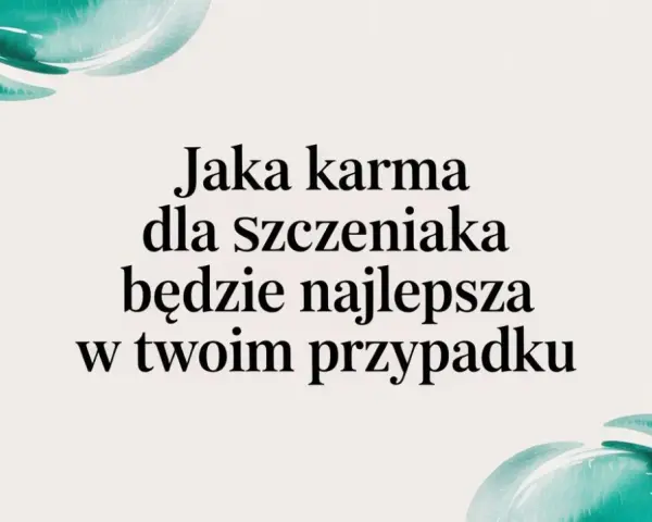 Karma dla szczeniaka: wybierz mądrze! Zdrowy start na całe życie