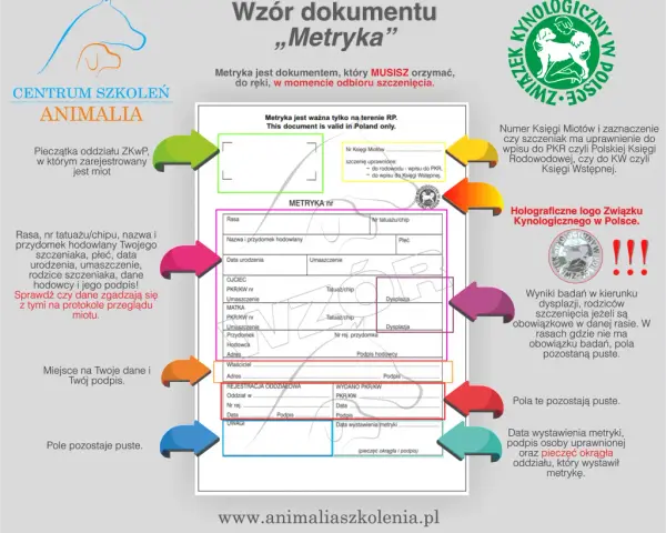 Jak wyrobić rodowód dla psa w ZKwP? Metryka, koszty, krok po kroku