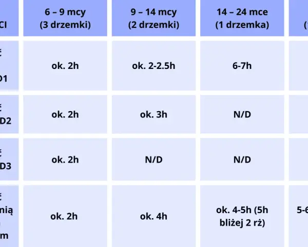 Tabela z okresami aktywności szczeniąt w zależności od wieku i liczby drzemek.