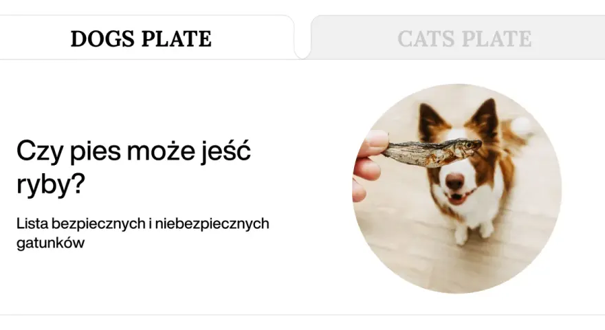 Pies patrzy na rękę trzymającą suszoną rybkę.
