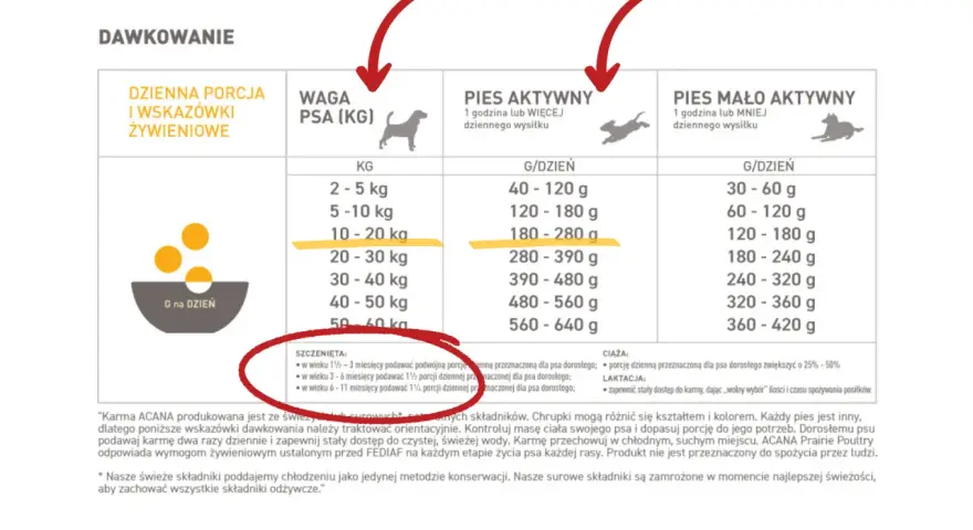 Ile karmy dla szczeniaka? Tabele i porady eksperta!