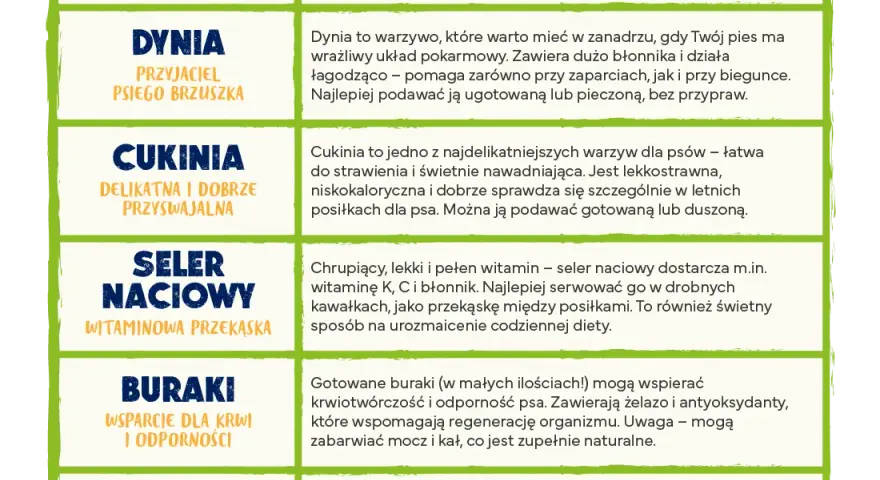 Jakie warzywa dla psa? Bezpieczne i zakazane poradnik eksperta