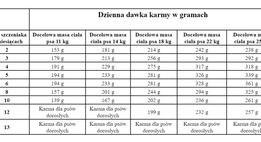 Ile gram karmy dla szczeniaka? Precyzyjny poradnik żywienia!