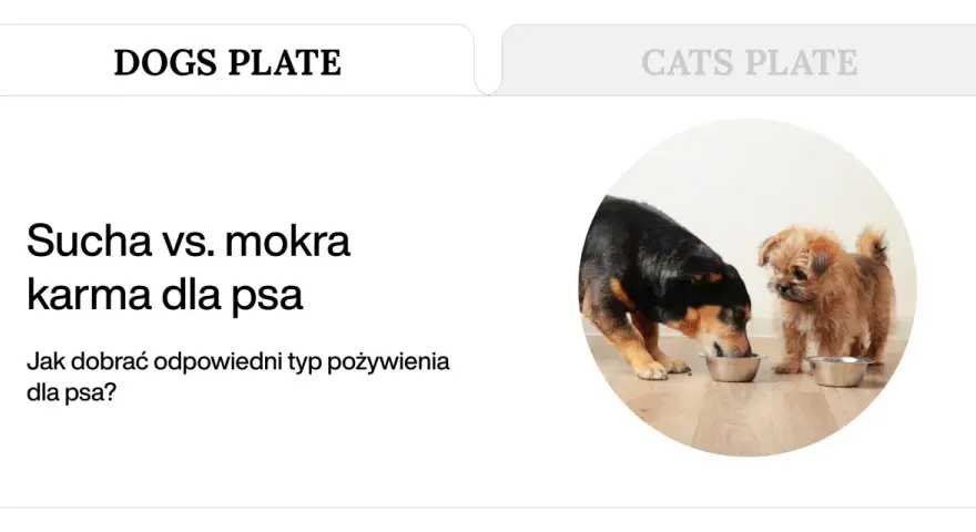 Karma dla psa: sucha czy mokra? Poznaj fakty i wybierz mądrze.