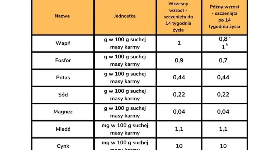 Jak karmić 5-tygodniowego szczeniaka? Odsadzanie bez stresu