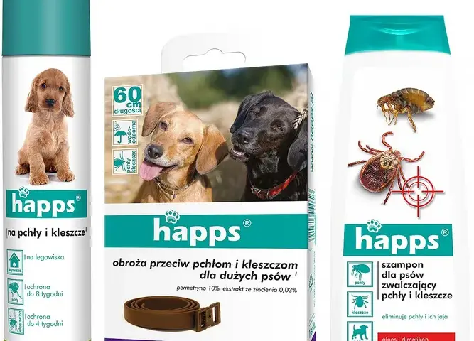 Co na kleszcze dla psa? Wybierz najlepszą ochronę i zyskaj spokój.
