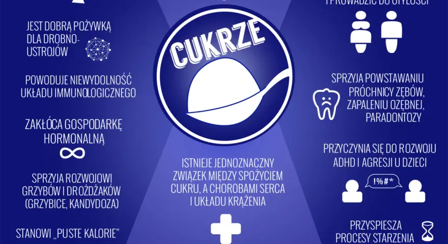 Cukier w diecie psa: dlaczego szkodzi i jak go unikać?