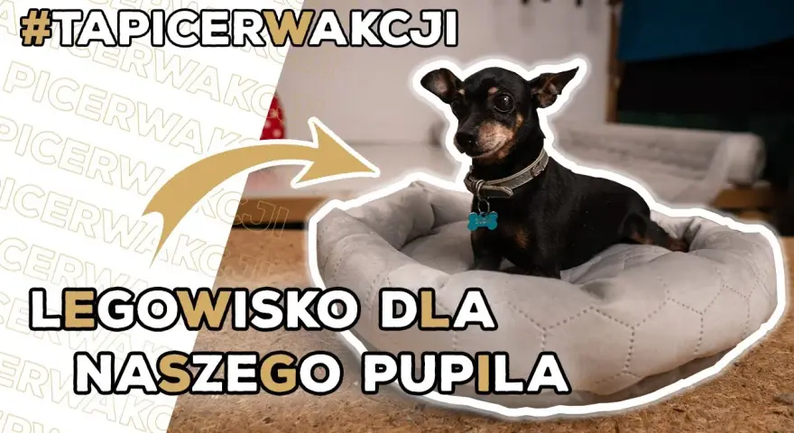 Poidło dla psa DIY: Zrób to sam! Proste instrukcje i porady eksperta