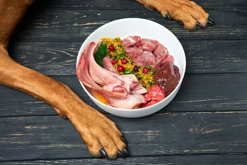 dieta BARF dla psa surowe mięso warzywa