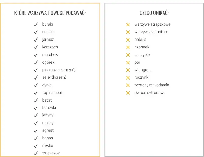 Składniki do gotowania dla psa