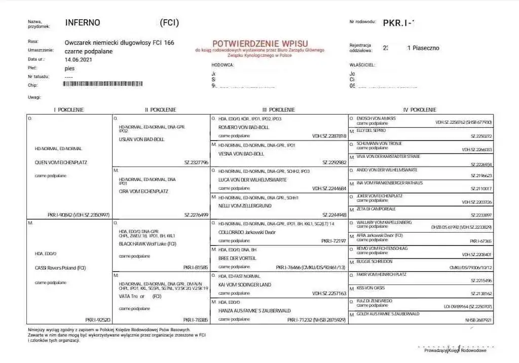 Rodowód psa owczarek niemiecki