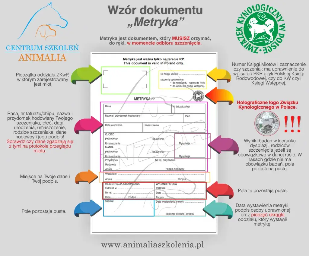 dokumenty wymagane do rodowodu psa