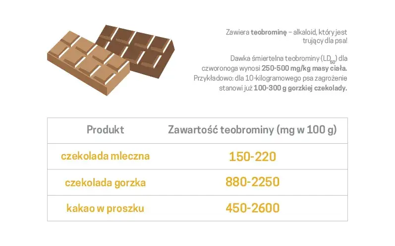 niebezpieczne jedzenie dla psa