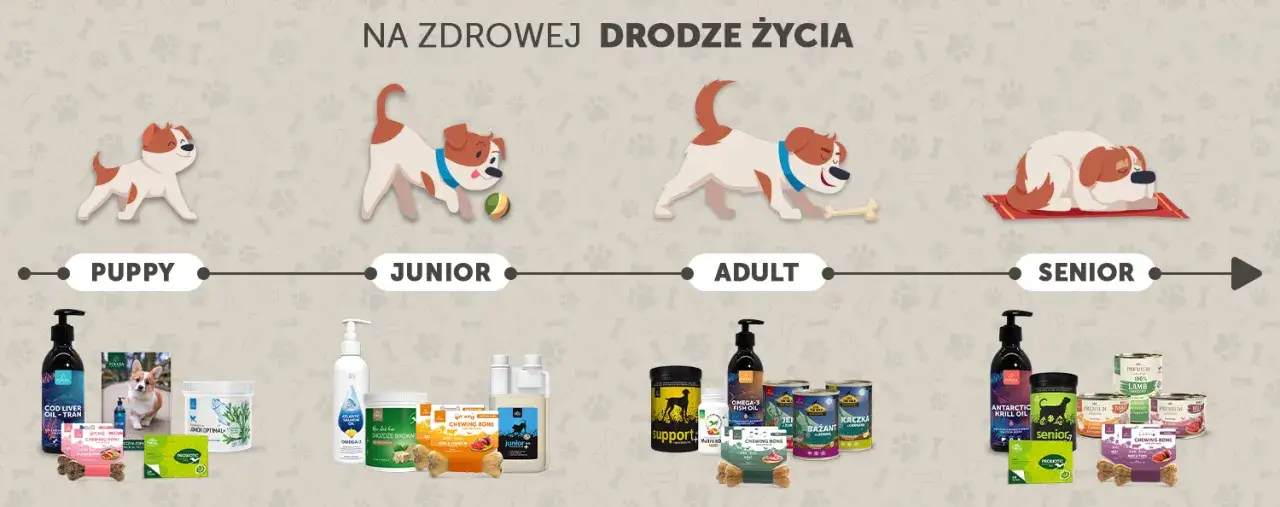 Etapy rozwoju szczeniaka infografika