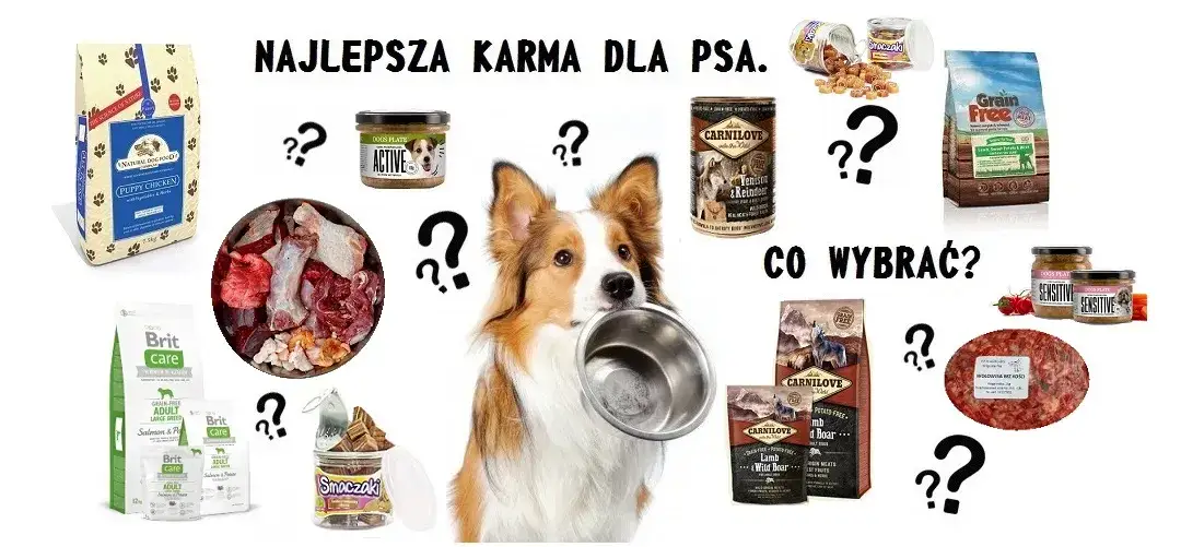 jak wybrać dobrą suchą karmę dla psa etykieta