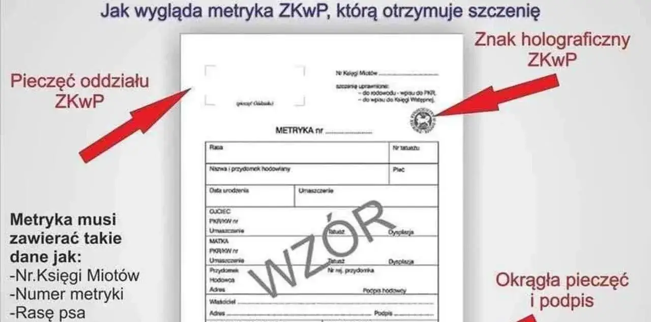 metryka psa a rodowód