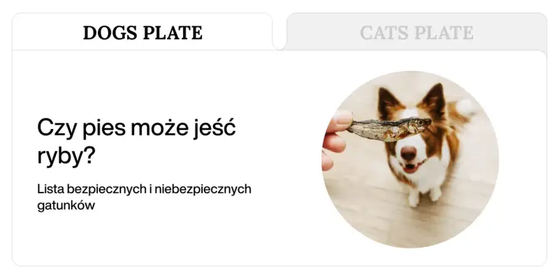 Pies patrzy na rękę trzymającą suszoną rybkę.